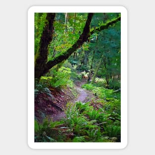 Winding Trail Sticker